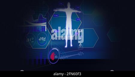 Erstellung von Statistiken, Verarbeitung von menschlichem Körper und medizinischen Daten auf dem Bildschirm Stockfoto