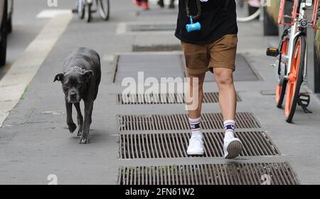 Mailand, Marco Carta im Zentrum mit seinem Hund Marco Carta, mit dem neuen platinblonden Haarlook, geht mit seinem Hund durch die Straßen des Zentrums. Stockfoto