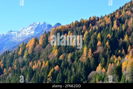 Die Farben der Wälder auf den Bergen in den Herbstmonaten Stockfoto