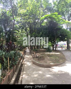 John F. Kennedy Park voller Pflanzen und Bäume an einem sonnigen Tag in Medellín, Antioquia, Kolumbien Stockfoto