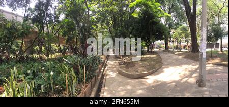 John F. Kennedy Park voller Pflanzen und Bäume an einem sonnigen Tag in Medellín, Antioquia, Kolumbien Stockfoto