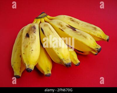 Bananenbündel auf rotem Hintergrund Stockfoto