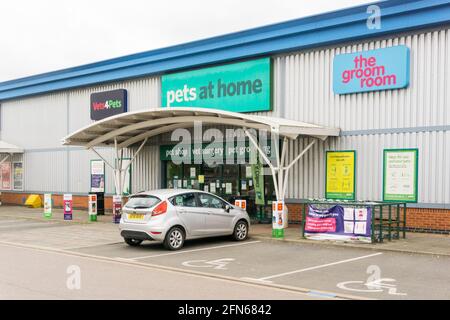 Ein Pets at Home-Shop in King's Lynn, Norfolk, mit Schildern für Vets4Pets und das Zimmer für den Bräutigam. Stockfoto