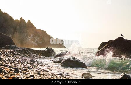 Planschende Wellen stürzen bei Sonnenaufgang am Jasper Beach am Cape Fiolent gegen Felsen. Krim Stockfoto