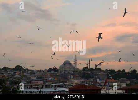 Sonnenuntergang über Istanbul und eine Vielzahl von Möwen fliegen über dem Eminonu-Viertel auf der Suche nach Snacks. Stockfoto