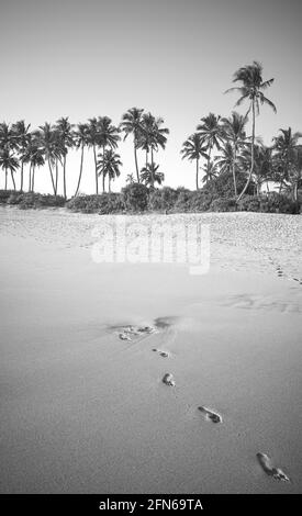 Schwarz-Weiß-Bild eines tropischen Strandes mit Fußabdrücken auf Sand. Stockfoto