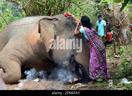 Nagaon, Indien. Mai 2021. Eine Dorfbewohnerin zollt der Kadaver eines Elefanten im Distrikt Nagaon, Indiens nordöstlichem Bundesstaat Assam, am 14. Mai 2021 ihren letzten Respekt. Nach vorläufigen Berichten der Forstbeamten wurden mindestens 18 Elefanten verdächtigt, durch Blitzschlag getötet worden zu sein. Quelle: Str/Xinhua/Alamy Live News Stockfoto