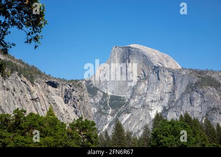 Blick auf den Half Dome von der Wiese im Yosemite Valley im Yosemite National Park, Kalifornien. Stockfoto