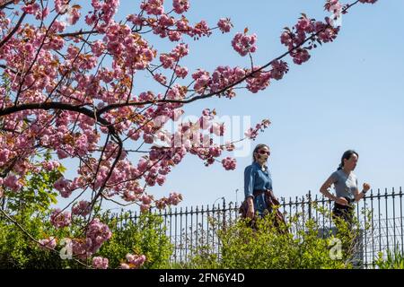 Die Stephanie und Fred Shuman Laufstrecke im Central Park ist an einem sonnigen Frühlingstag in NYC, USA, beliebt Stockfoto