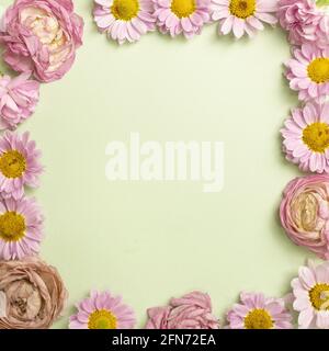 Rosa Blumen Rahmen auf hellgrünem Hintergrund. Draufsicht, Kopierraum Stockfoto