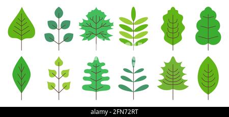 Einfache flache Stil, Vektor-Illustration für Scrapbooking, Notizbuch, Geschirr. Realistische bunte Frühling, Sommer Blätter isoliert auf weißem Hintergrund. Eiche, Linde, Birke und Ahorn. Flacher Stil, Vektor.Baum Stock Vektor