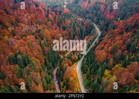 Malerischer Herbstwald mit Autobahn entlang Stockfoto