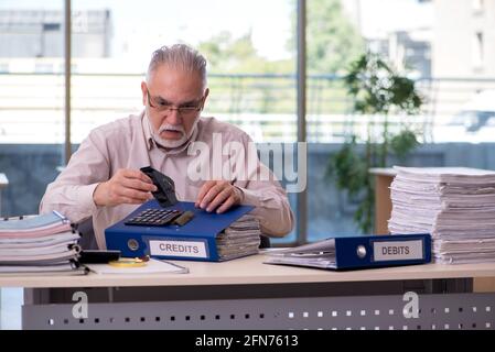 Erfahrener männlicher Buchhalter im Budgetplanungskonzept Stockfoto