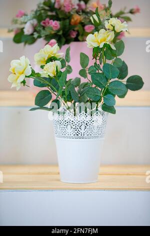 Weißer Blumentopf mit gelben Rosen. Stockfoto