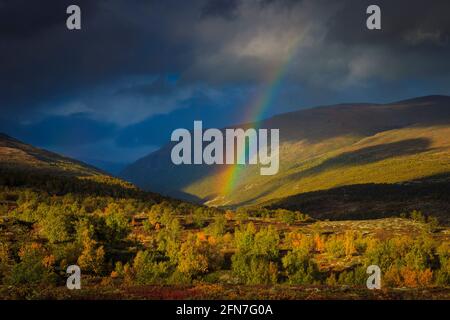 Golden Hour Abendlicht, Herbstfarben, Regenbogen und dunkle dramatische Himmel im Dovrefjell Nationalpark, Dovre, Norwegen, Skandinavien. Stockfoto