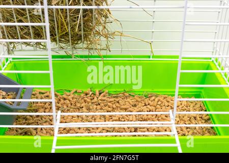 Nahaufnahme Käfig für Haustiere mit einem grünen Tablett für Späne, Sägemehl, Futter, Heu und Heu. Haustiere in Käfigen halten. Seitenansicht. Stockfoto