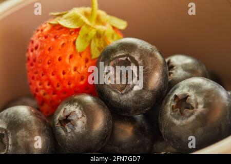 Frisch ausgewählte Erdbeeren und frische Blaubeeren in einer Schüssel. Stockfoto