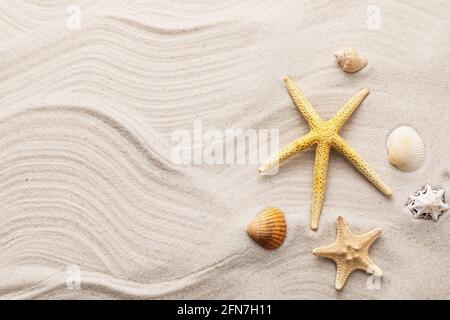 Muscheln auf dem Sand mit Kopierraum, Sommerhintergrund. Stockfoto
