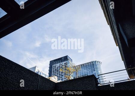 Aufnahme von Glasgebäuden in London aus der Nähe Stockfoto