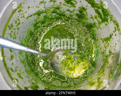 Bärlauch-Pesto aus Allium ursinum mit zerdrückten Cashewnüssen in einem Mörser. Zubereitung von Rohkost Stockfoto