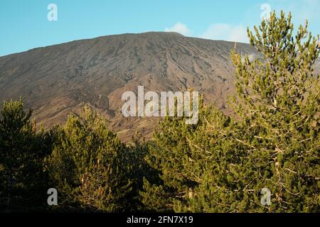 Blick auf den Vulkan Ätna in Sizilien am Abend, Details von abgekühlten Lavaströmen und Asche von jüngsten Eruptionen an Hängen Stockfoto