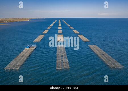 Luftaufnahmen der Muschelfarmen in der Bucht von Alfacs (Badia dels Alfacs) bei Sonnenuntergang, im Ebro-Delta (Provinz Tarragona, Katalonien, Spanien) Stockfoto