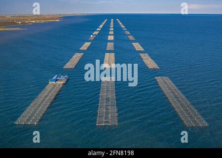 Luftaufnahmen der Muschelfarmen in der Bucht von Alfacs (Badia dels Alfacs) bei Sonnenuntergang, im Ebro-Delta (Provinz Tarragona, Katalonien, Spanien) Stockfoto