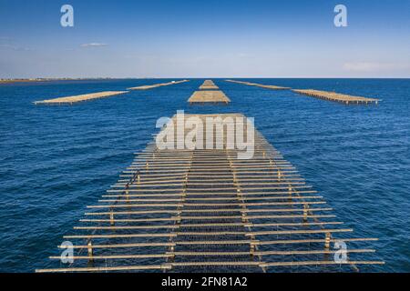 Luftaufnahmen der Muschelfarmen in der Bucht von Alfacs (Badia dels Alfacs) bei Sonnenuntergang, im Ebro-Delta (Provinz Tarragona, Katalonien, Spanien) Stockfoto