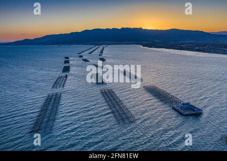 Luftaufnahmen der Muschelfarmen in der Bucht von Alfacs (Badia dels Alfacs) bei Sonnenuntergang, im Ebro-Delta (Provinz Tarragona, Katalonien, Spanien) Stockfoto