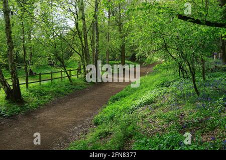 Der Ayot Greenway bei Wheathampstead, Herts Stockfoto