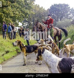 Die Devon & Somerset Stag Hounds DSSH jagten Rotwild im Dulverton-Gebiet von Exmoor im Oktober 1970, Devon, England Stockfoto