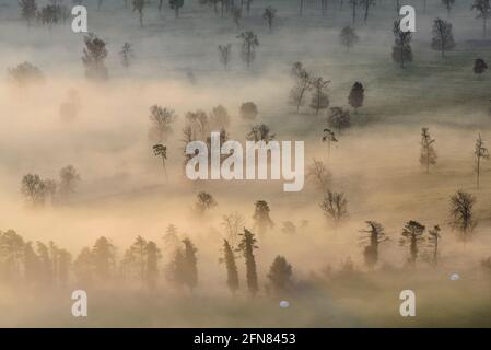 Nebliger Winteraufgang in Plana de Vic, von Sant Bartomeu del Grau aus gesehen (Provinz Barcelona, Osona, Katalonien, Spanien) Stockfoto