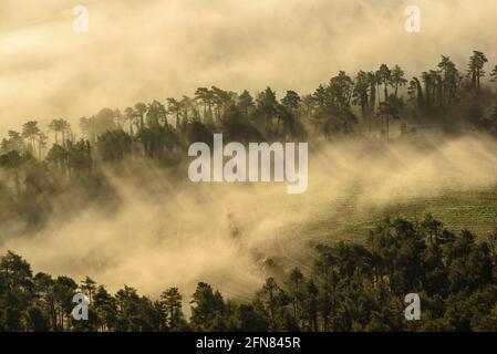 Nebliger Winteraufgang in Plana de Vic, von Sant Bartomeu del Grau aus gesehen (Provinz Barcelona, Osona, Katalonien, Spanien) Stockfoto