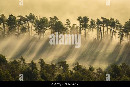 Nebliger Winteraufgang in Plana de Vic, von Sant Bartomeu del Grau aus gesehen (Provinz Barcelona, Osona, Katalonien, Spanien) Stockfoto