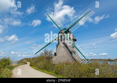 Windmühle Charlotte, Goldhöft, Naturschutzgebiet Gelting Birk, Gelting Bay, Schleswig-Holstein, Deutschland Stockfoto