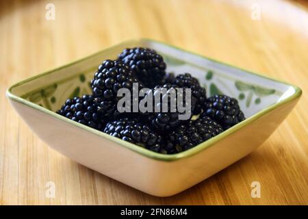 Große reife Brombeeren sind in dekorativer quadratischer Keramikschale auf Bambusoberfläche. Nahaufnahme. Selektiver Fokus. Speicherplatz kopieren. Stockfoto