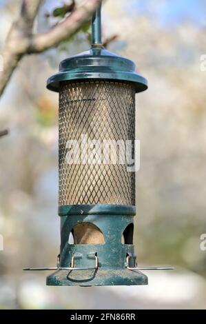 Schöne Nahaufnahme der vertikalen Ansicht des Rohrvogelfutterhäuschen auf dem frühlingsweiß blühenden Kirschbaum auf dem Universitätscampus in Dublin, Irland. Weichfokus Stockfoto