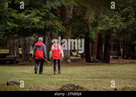 Wandern auf der Straße des Baricauba-Waldes (Aran-Tal, Katalonien, Spanien, Pyrenäen) ESP: Recorriendo la carretera del bosque de Baricauba (España) Stockfoto