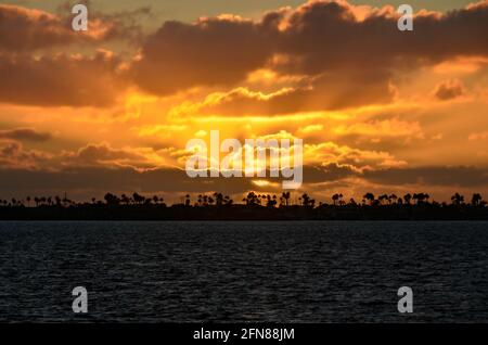 Sonnenuntergangs-Seeseite mit Panoramablick auf die Bucht von San Diego und die Silhouetten von Palmen aus dem Chula Vista Bayside Park in Kalifornien, USA. Stockfoto