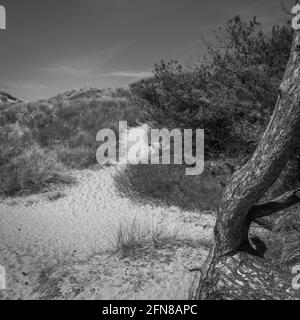 Eine schwarz-weiße Panoramasicht auf Ainsdale Sands, Southport, Merseyside, Greater Manchester. Stockfoto