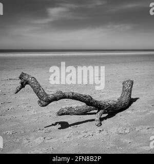 Eine schwarz-weiße Panoramasicht auf Ainsdale Sands, Southport, Merseyside, Greater Manchester. Stockfoto