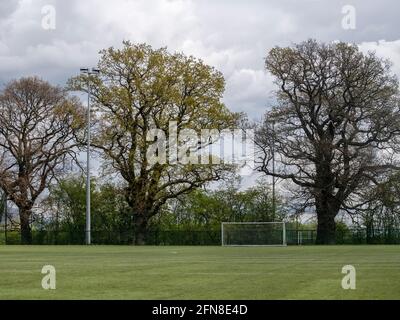 Ein breiter Schuss eines Tores auf einem ruhigen Fußballfeld. Stockfoto