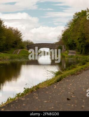 Wasserspiegelung entlang des Canale Grande in Irland. Stockfoto