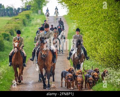 Sleaford, Lincolnshire, Großbritannien. Mai 2021. Das letzte Treffen der Saison für die Cranwell-Bluthunde war eine Hundeübung, angeführt von Joint Master Wendy Broughton MH und dem Huntsman Frank Goddard, als sie und ihre Anhänger dem Regen auswichen. Quelle: Matt Limb OBE/Alamy Live News Stockfoto