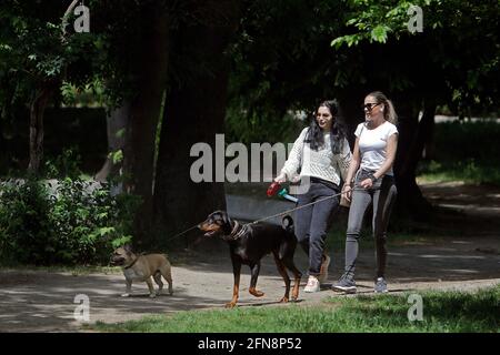 Bukarest, Rumänien. Mai 2021. Menschen gehen mit ihren Hunden in einem Park in Bukarest, Rumänien, 15. Mai 2021. Der rumänische Premierminister Florin Citu sagte, die Regierung habe am Freitag eine Entscheidung getroffen, die Einschränkungen im Zusammenhang mit dem Coronavirus ab Samstag schrittweise zu lockern. Ab Samstag wird die Sperrstunde in der Nacht aufgehoben, und die obligatorischen Maskenregeln werden nur in geschlossenen öffentlichen Räumen und überfüllten öffentlichen Bereichen, einschließlich Märkten, öffentlichen Verkehrsmitteln und Arbeitsplätzen, angewendet. Quelle: Cristian Cristel/Xinhua/Alamy Live News Stockfoto