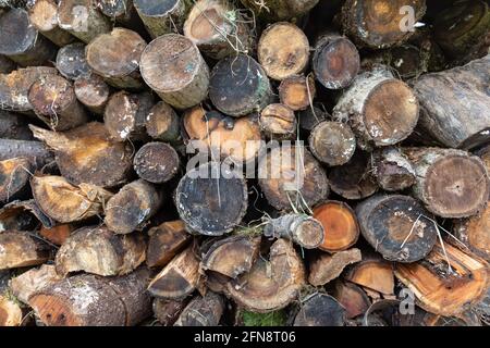 Natürlicher Holzhintergrund - Nahaufnahme von gehacktem Brennholz. Stapel von Brennholz. Vorbereitung des Brennholzes für den Winter. Haufen Feuerholz. Stockfoto