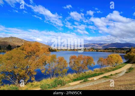 Herbst in Cromwell, einer Stadt auf der Südinsel Neuseelands. Eine Reihe von Bäumen mit hellem Herbstlaub vor dem Lake Dunstan Stockfoto