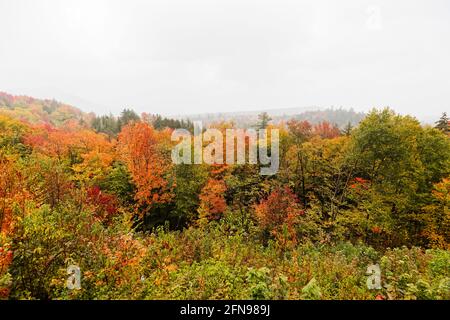 Spektakuläre Herbstfärbung in der Kankamagus Highway Region von Mount Washington, New Hampshire, New England, USA im Herbst Stockfoto