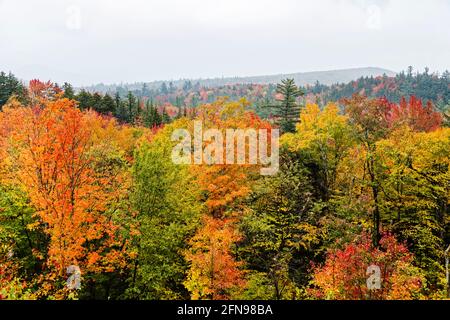 Spektakuläre Herbstfärbung in der Kankamagus Highway Region von Mount Washington, New Hampshire, New England, USA im Herbst Stockfoto