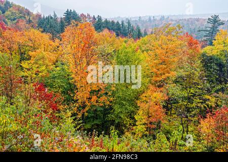 Spektakuläre Herbstfärbung in der Kankamagus Highway Region von Mount Washington, New Hampshire, New England, USA im Herbst Stockfoto